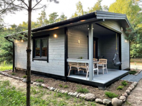 Sosnowy Raj - las, kominek, sauna, ognisko, rzeka